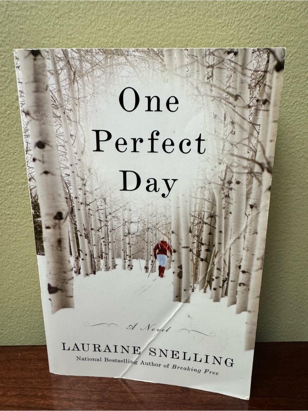One Perfect Day by Lauraine Snelling